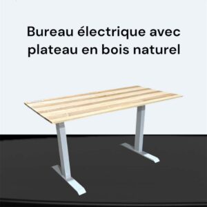 Bureau ajustable électrique à double moteur – Bois véritable et ports USB